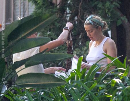 Amber heard  page leaked private photo uncensored HD quality