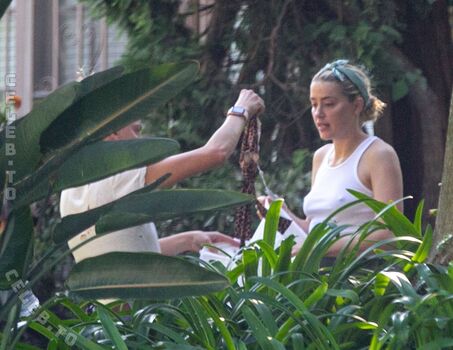 Amber heard  page leaked private photo uncensored HD quality