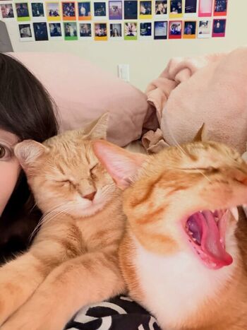 Emiru leaked private photo uncensored HD quality