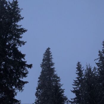 Girls huntersbeauty leaked private photo uncensored HD quality