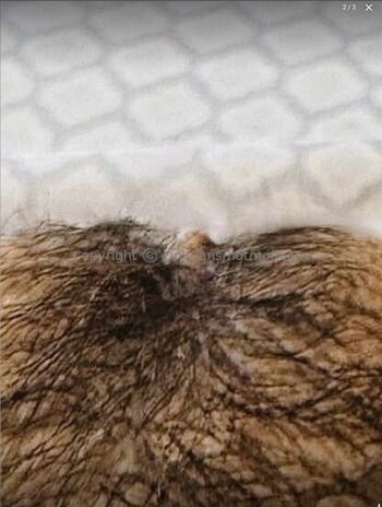 Hotmomjane page leaked private photo uncensored HD quality