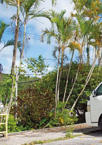 Jav actress gravure page leaked private photo uncensored HD quality