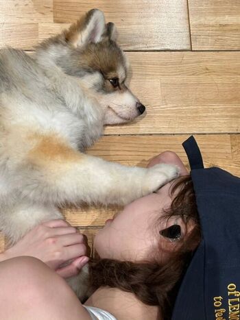 Kim chaewon leaked private photo uncensored HD quality