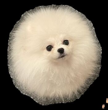 Nonsummerjack leaked private photo uncensored HD quality