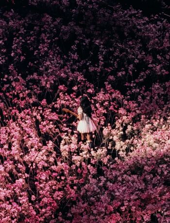 Olivia rodrigo  page leaked private photo uncensored HD quality