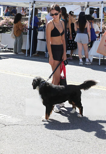 Sophia hammons leaked private photo uncensored HD quality