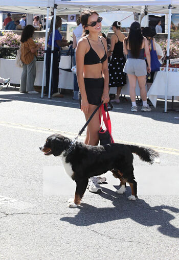 Sophia hammons leaked private photo uncensored HD quality