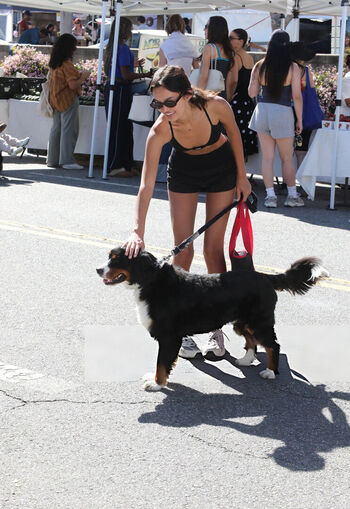 Sophia hammons leaked private photo uncensored HD quality