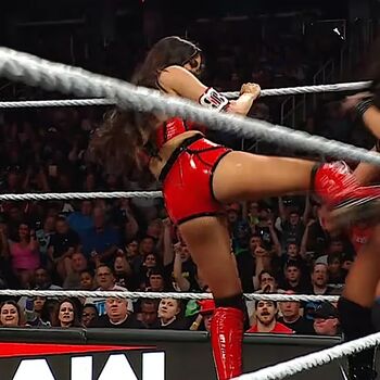 The bella twins page leaked private photo uncensored HD quality