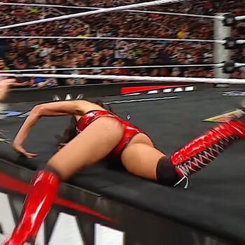 The bella twins page leaked private photo uncensored HD quality