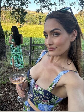 The bella twins page leaked private photo uncensored HD quality