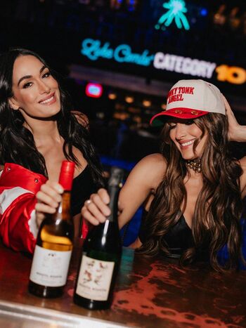 The bella twins page leaked private photo uncensored HD quality