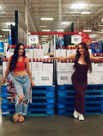 The bella twins page leaked private photo uncensored HD quality