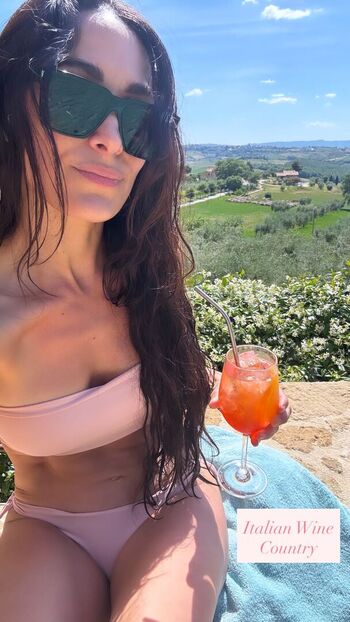 The bella twins page leaked private photo uncensored HD quality