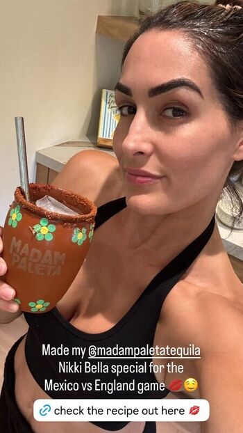 The bella twins page leaked private photo uncensored HD quality