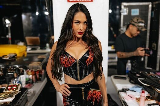 The bella twins leaked private photo uncensored HD quality