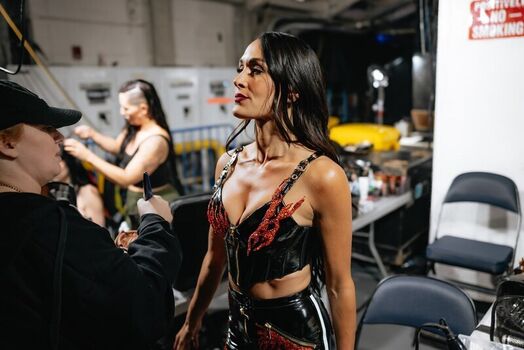 The bella twins leaked private photo uncensored HD quality
