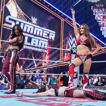 The bella twins page leaked private photo uncensored HD quality