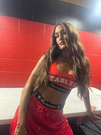 The bella twins page leaked private photo uncensored HD quality