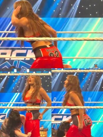 The bella twins page leaked private photo uncensored HD quality