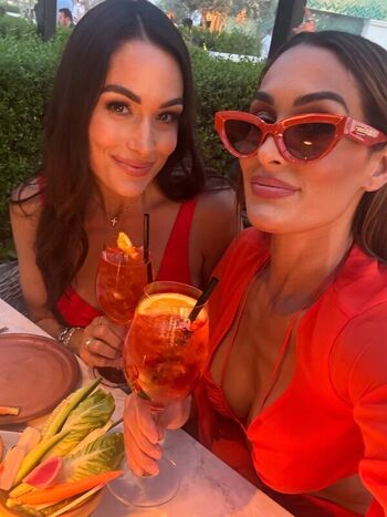The bella twins page leaked private photo uncensored HD quality