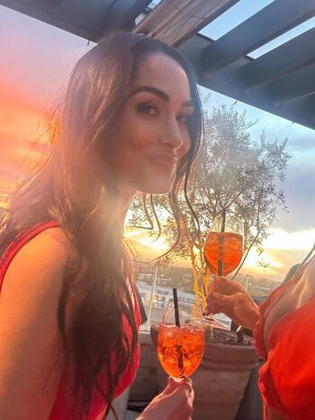 The bella twins leaked private photo uncensored HD quality