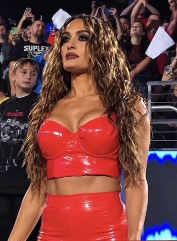 The bella twins leaked private photo uncensored HD quality