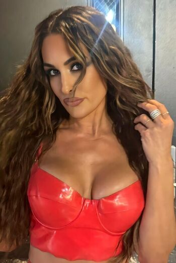 The bella twins leaked private photo uncensored HD quality