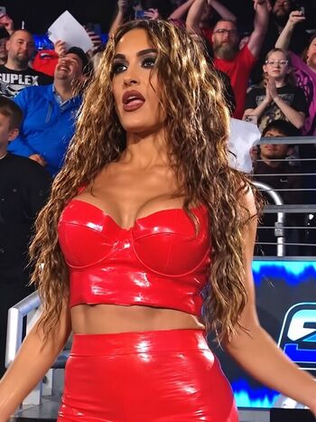 The bella twins leaked private photo uncensored HD quality