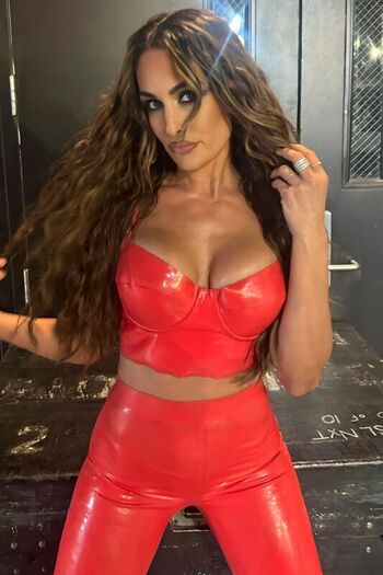 The bella twins leaked private photo uncensored HD quality