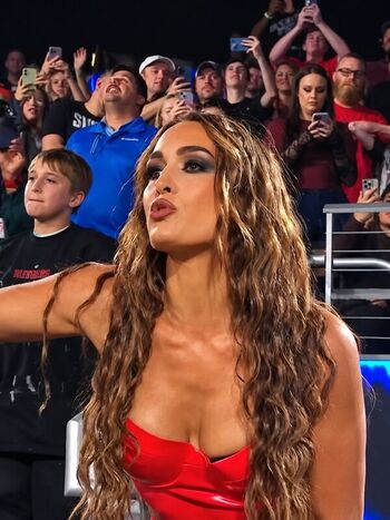The bella twins leaked private photo uncensored HD quality