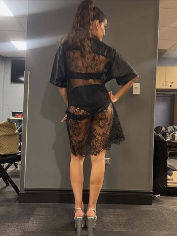 The bella twins leaked private photo uncensored HD quality