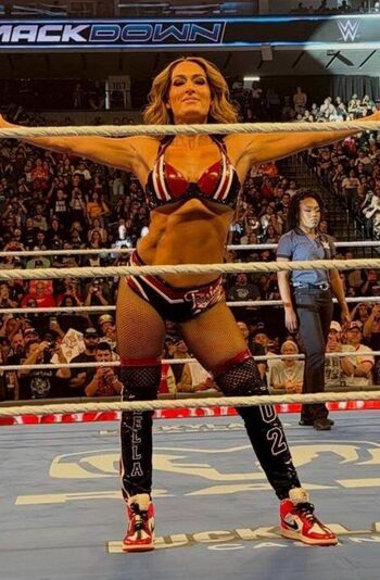 The bella twins leaked private photo uncensored HD quality