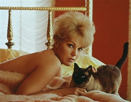 Vintage starlets page leaked private photo uncensored HD quality