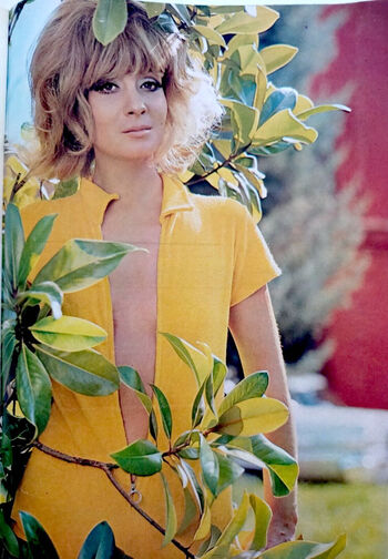 Vintage starlets leaked private photo uncensored HD quality